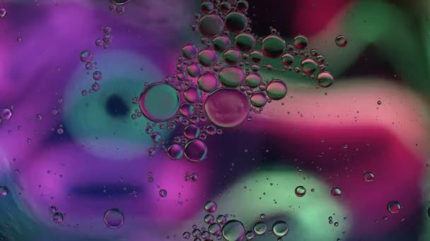 Абстрактное Цветное Пищевое Масло Капли Пузырьки — стоковое видео