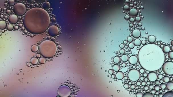 Abstract Kleurrijke Voedselolie Druppels Bubbels — Stockvideo