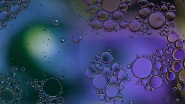 アブストラクトカラフルな食品油滴泡 — ストック動画