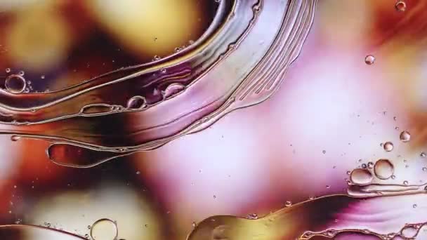 Abstrakt Färgglada Matolja Droppar Bubblor — Stockvideo