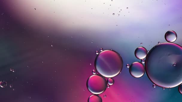 Abstract Colorful Food Oil Drops Bubbles — Stock Video