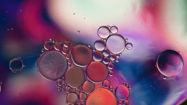 Abstract Kleurrijke Voedselolie Druppels Bubbels — Stockvideo