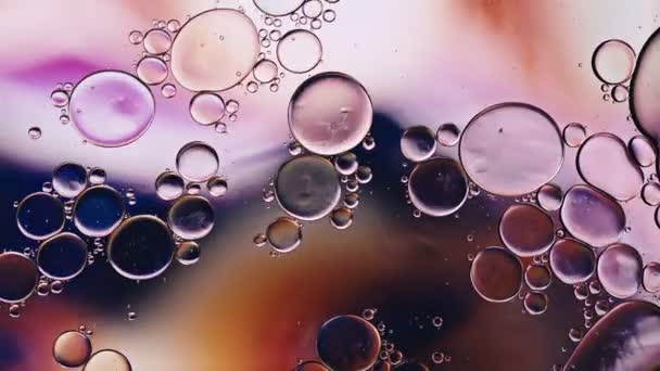 Abstracto Colorido Aceite Comida Gotas Burbujas — Vídeo de stock