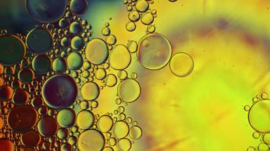 Soyut Renkli Gıda Yağı Damlaları Baloncukları 