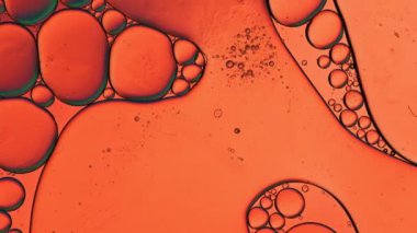 Soyut Renkli Gıda Yağı Damlaları Baloncukları 