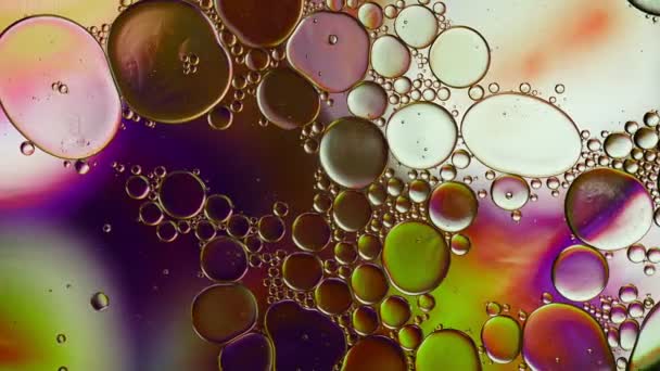 Abstract Colorful Food Oil Drops Bubbles — Video Stock