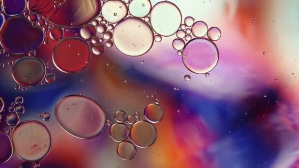 Abstract Kleurrijke Voedselolie Druppels Bubbels — Stockvideo