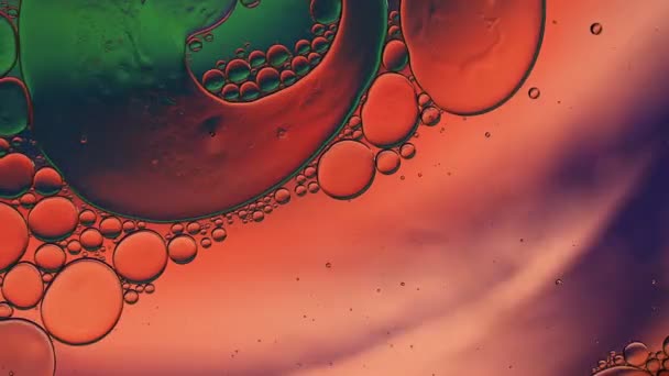 Abstract Colorful Food Oil Drops Bubbles — Stockvideo