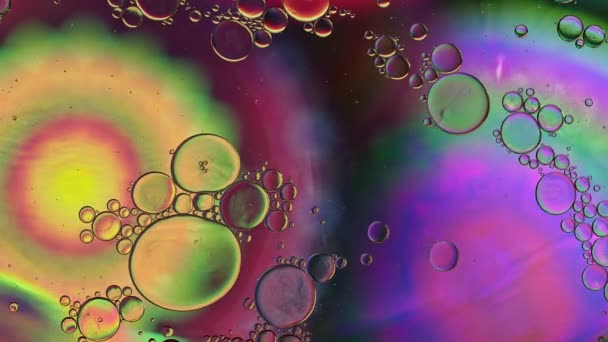 Abstract Colorful Food Oil Drops Bubbles — Stockvideo