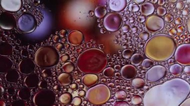 Soyut Renkli Gıda Yağı Damlaları Baloncukları 