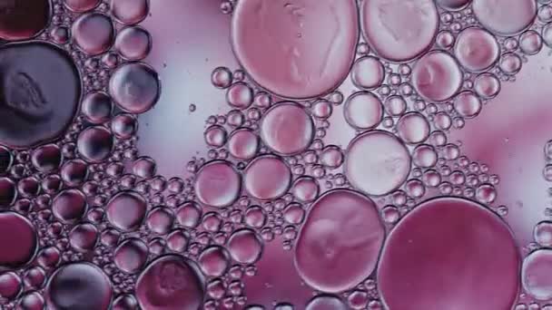 Abstract Kleurrijke Voedselolie Druppels Bubbels — Stockvideo