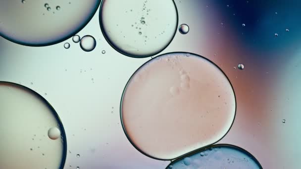 Abstract Colorful Food Oil Drops Bubbles — Video Stock