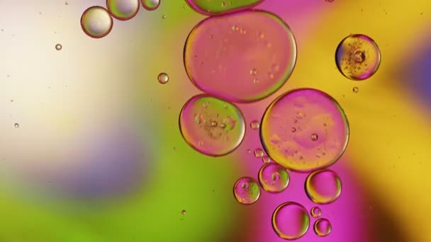 Streszczenie Kolorowe Olej Spożywczy Krople Pęcherzyki — Wideo stockowe