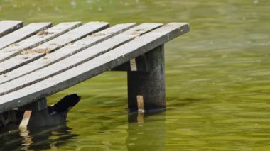 Göl ve Kaz Ahşap Rıhtımı