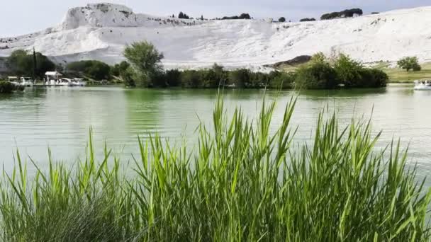Den Gröna Sjön Och Naturliga Karbonat Mineral Place Kallas Pamukkale — Stockvideo