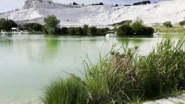 Türkiye 'nin Pamukkale İlçesi' nde Termal Bahar Suyu Yerindeki Greylag Goose 