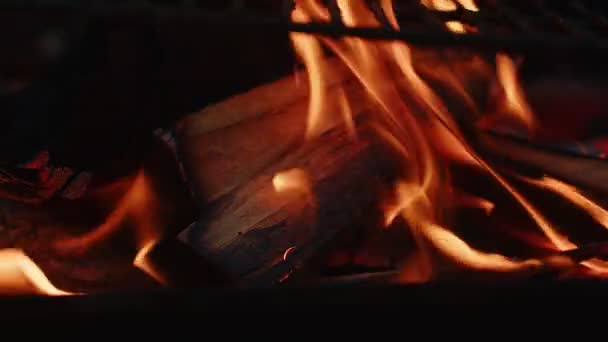 烤木和煤火如火如荼 — 图库视频影像