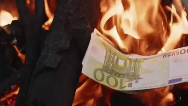 Geld Verbranden Houtvuur — Stockvideo