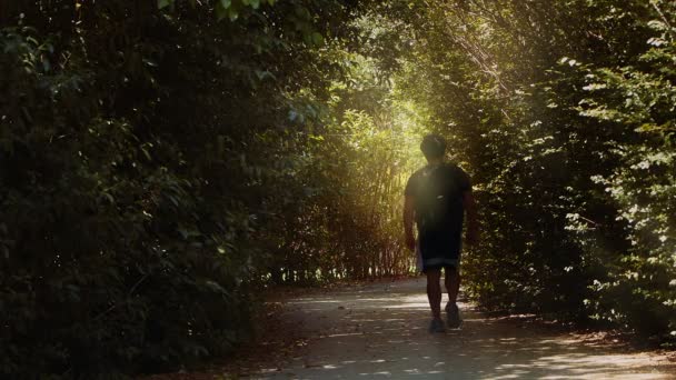 Man Walking Green Road Trees Leaves Soft Sunlight — Stock Video