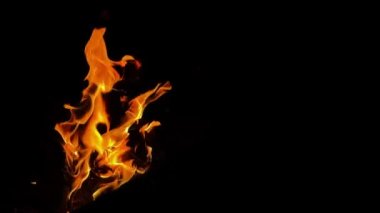 Barbecue Fire Burning like Hell 