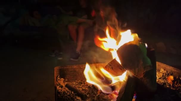 Barbacoa Fuego Ardiendo Como Infierno — Vídeo de stock