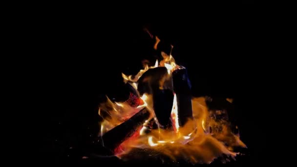 Огонь Барбекю Горит — стоковое видео
