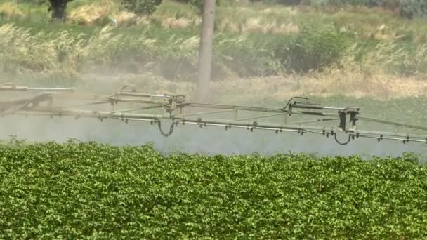 Disinfect Spray Cotton Plant Field — Stockvideo