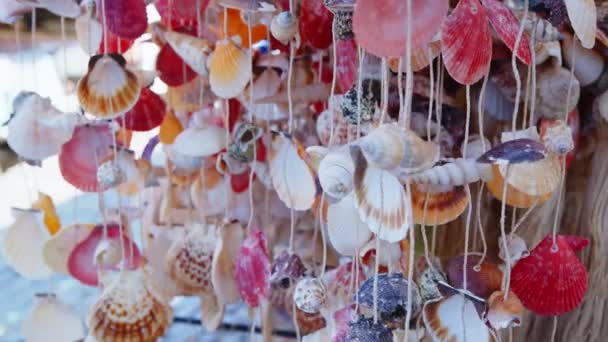 Colorful Sea Shells Ornaments Wind — Stock Video