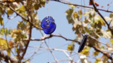 Evil Eye Bead Amulet 