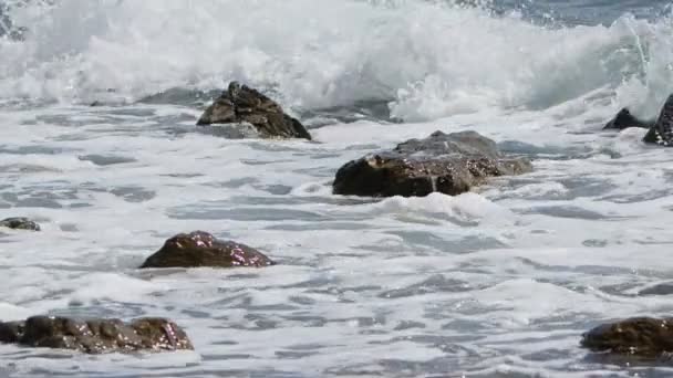 Морські Хвилі Скелі — стокове відео