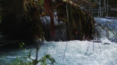 Vahşi Doğada Şelale Görünümü