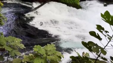 Vahşi Doğada Şelale Görünümü