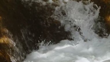 Vahşi Doğada Şelale Görünümü
