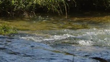 Vahşi Doğada Şelale Görünümü