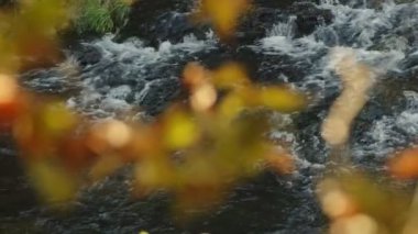 Vahşi Doğada Şelale Görünümü