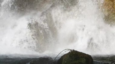 Vahşi Doğada Şelale Görünümü