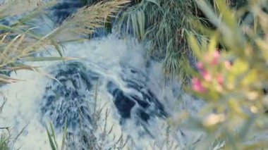 Vahşi Doğada Şelale Görünümü