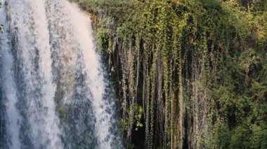 Vahşi Doğada Şelale Görünümü