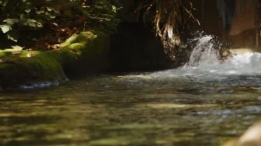 Vahşi Doğada Şelale Görünümü