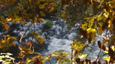 Vahşi Doğada Şelale Görünümü