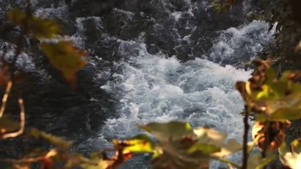 Waterfall View Wild Nature — Stock Video