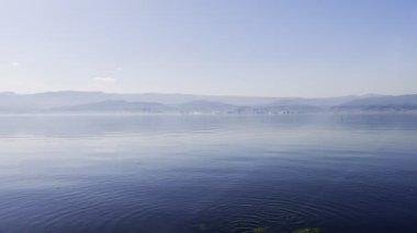 Kuş Martıları Denizde Uçuyor