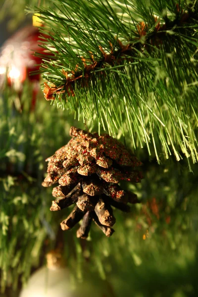 Pine cone on a Christmas tree — Stock Photo, Image