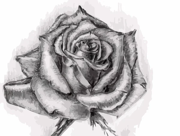 Fac de roses — Image vectorielle