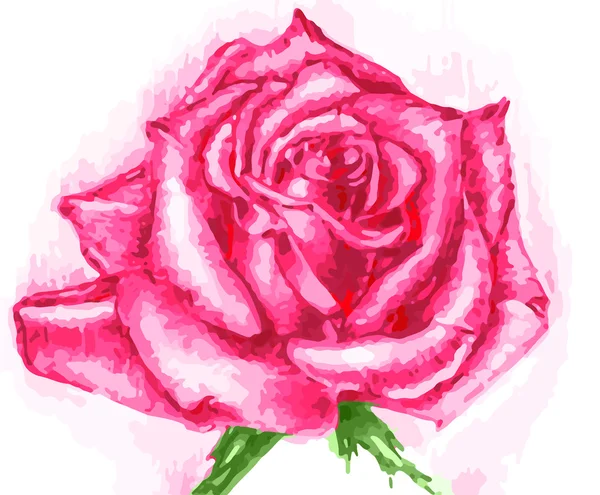 Der rosa Rosen-Vektor — Stockvektor