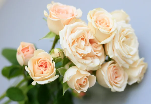 温柔的玫瑰花的花束 — 图库照片