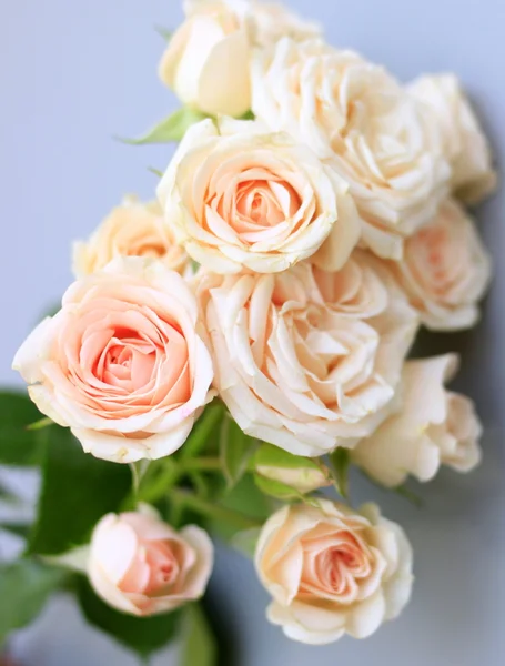 温柔的玫瑰花的花束 — 图库照片