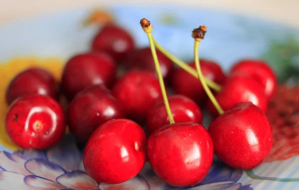 Ripe cherry fruit — Stock Photo, Image