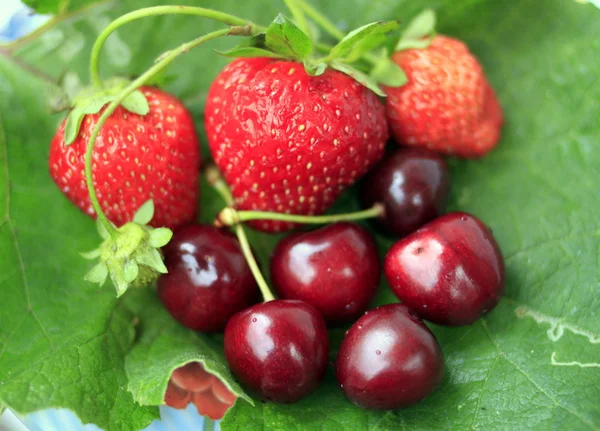 Erdbeeren und Kirschen — Stockfoto