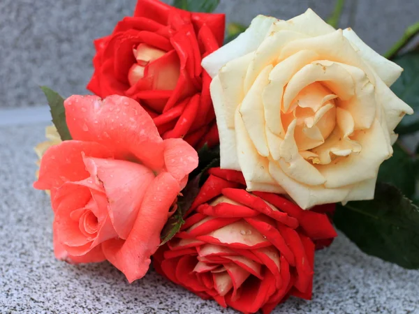 Flowers bouquet of roses — Stock Photo, Image